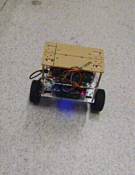 ZVM 自平衡小车运行效果